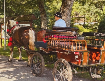 TANAP ponúka romantické jazdy kočom