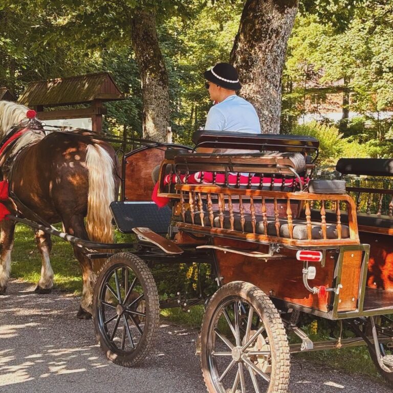 TANAP ponúka romantické jazdy kočom