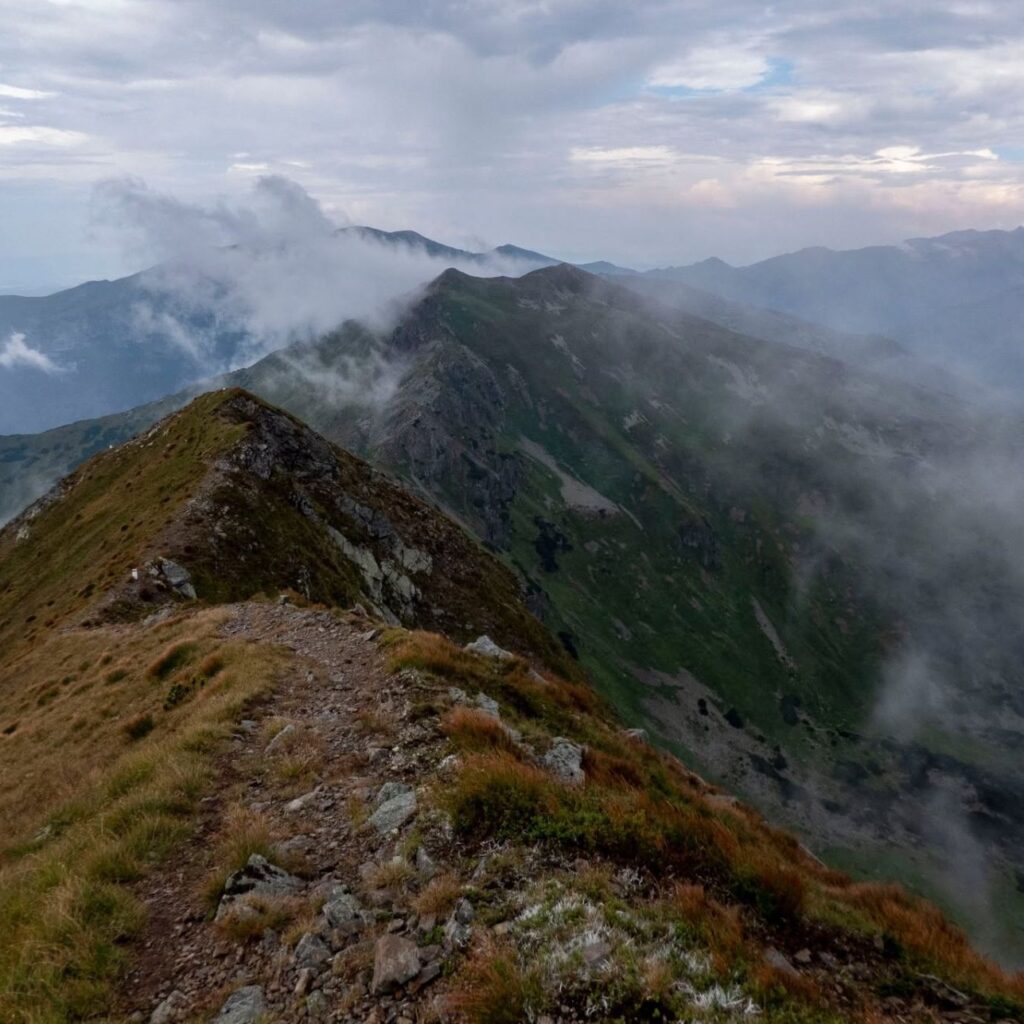 Pyšné sedlo