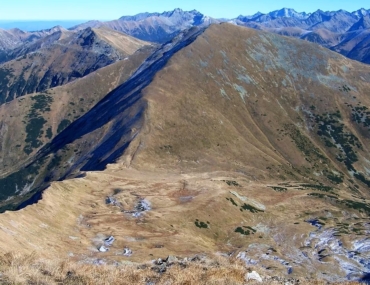 Pyšné sedlo