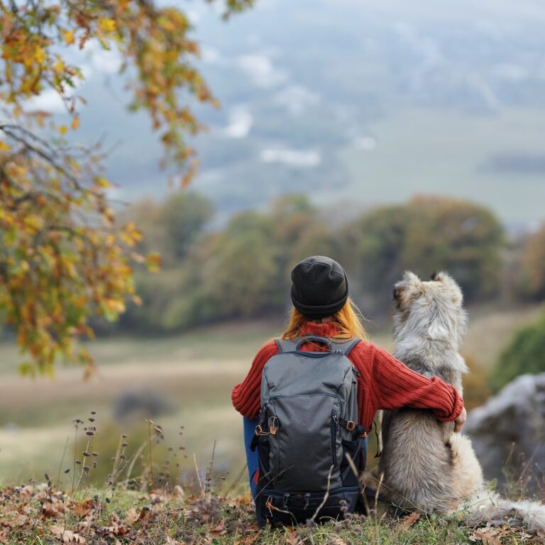 Pred túrou so psom si overte, kam s ním môžete ísť a za akých podmienok. Foto: Depositphotos.